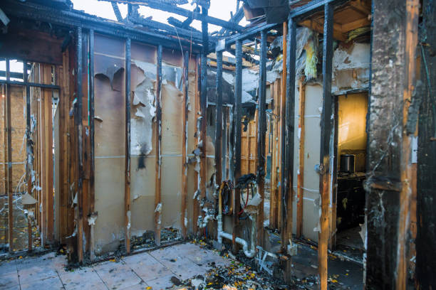 Professional Fire Damage Removal technician working in Falls Church, VA