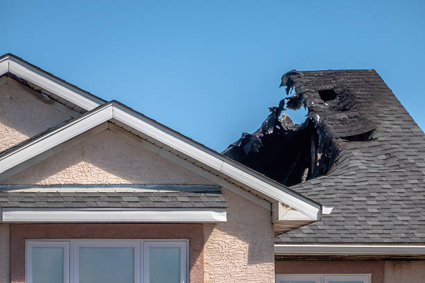 Top rated local Fire Damage Removal specialists in Falls Church, VA